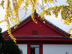 -四川大学(望江校区)