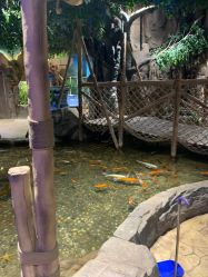 点击看大图 -宝燕乐园(闵行旗舰店)