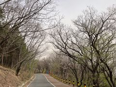 -长春净月潭风景名胜区