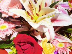 -玉桥餐厅(天坛店)