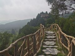 -铜川市金锁关石林