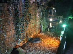 -青岛葡萄酒博物馆