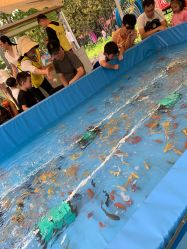 -萌宠亲子动物乐园(槐房万达店)