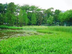 -东山湖公园