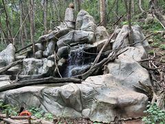 -普洱太阳河森林公园