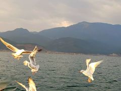 -丽江泸沽湖景区