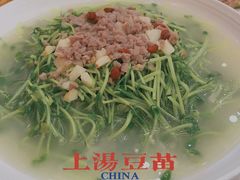 上汤豆苗-轩记海鲜餐厅·四十五年老字号·经典粤菜(西区彩虹店)