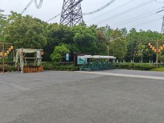 -长田漾湿地公园