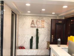 -ACE造型