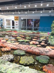 -钓虾工场·钓虾·赶海(回龙观店)