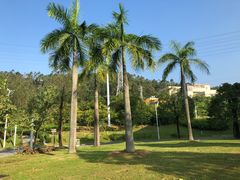 -中国移动南方基地