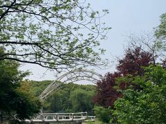 -上海共青森林公园