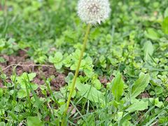 -上海鲜花港