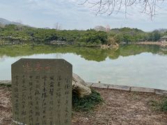 -江心屿景区