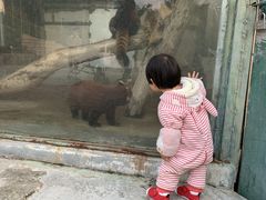 -泉州海丝野生动物世界