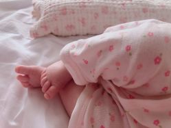 -海豚湾高端月子会所(黄浦店)