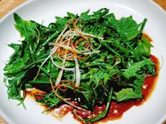 南瓜芽-马仕玖煲·融合菜·酥不腻烤鸭(人大店)