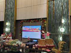 -新加坡乌节希尔顿酒店 (SG Clean)