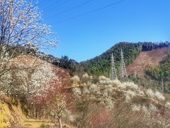 -溪口-滕头旅游景区