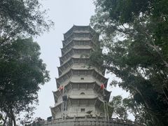 -深圳国际园林花卉博览园