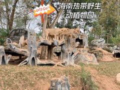 -海南热带野生动植物园