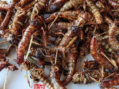 -蒙阴县光棍鸡店(蒙山店)