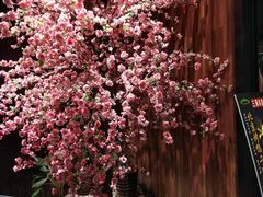 -田婆婆的菜(海口友谊阳光城店)
