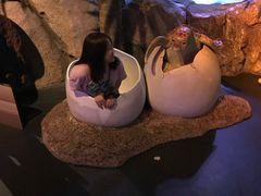 -暹罗海洋世界