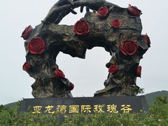 -亚龙湾国际玫瑰谷