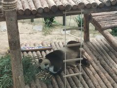 -大连森林动物园