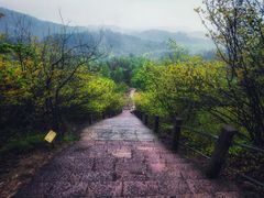 -天台山赤城山景区