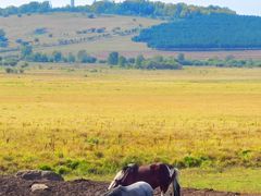 -塞罕坝国家级自然保护区