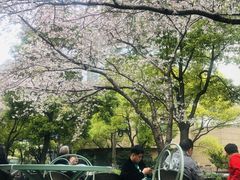 -玛格萝妮比萨屋(四平店)