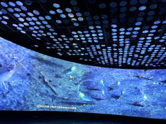 -同济大学四平路校区深海探索馆