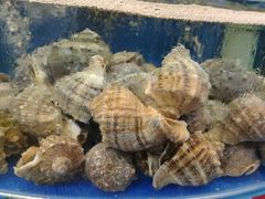 -沿海渔家院海鲜烧烤·东北菜(东戴河店)