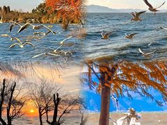 -捞渔河湿地公园