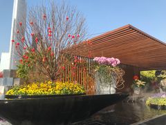 -海心沙亚运公园