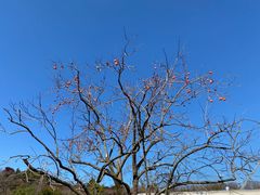 -丹山赤水风景名胜区