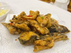 -寻味顺德·南记酒家·传统顺德菜·鱼生(广源路店)