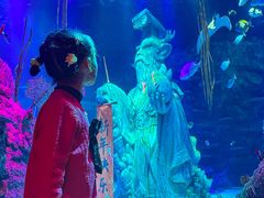 -沈阳海洋探索中心