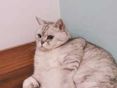 -美迦爱-牙专科·兔科·骨科诊疗中心(北苑店)