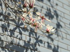 -北京航空航天大学-图书馆