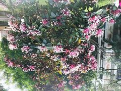 -观澜湖华谊冯小刚电影公社(百年记忆公社)