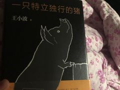 -必胜客(新中纬店)