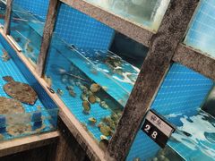 -码头鲜精致威海菜(欧乐坊店)