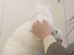 -怪兽屋·羊驼·猫咖·狗咖(俊华广场店)