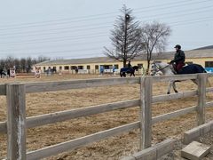 -北京群众马术培训基地