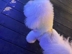 -爱琴海音乐餐吧(西秀海滩店)