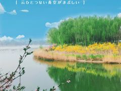 -大兴滨河森林公园