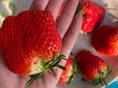 -东方鼎信农副产品交易中心